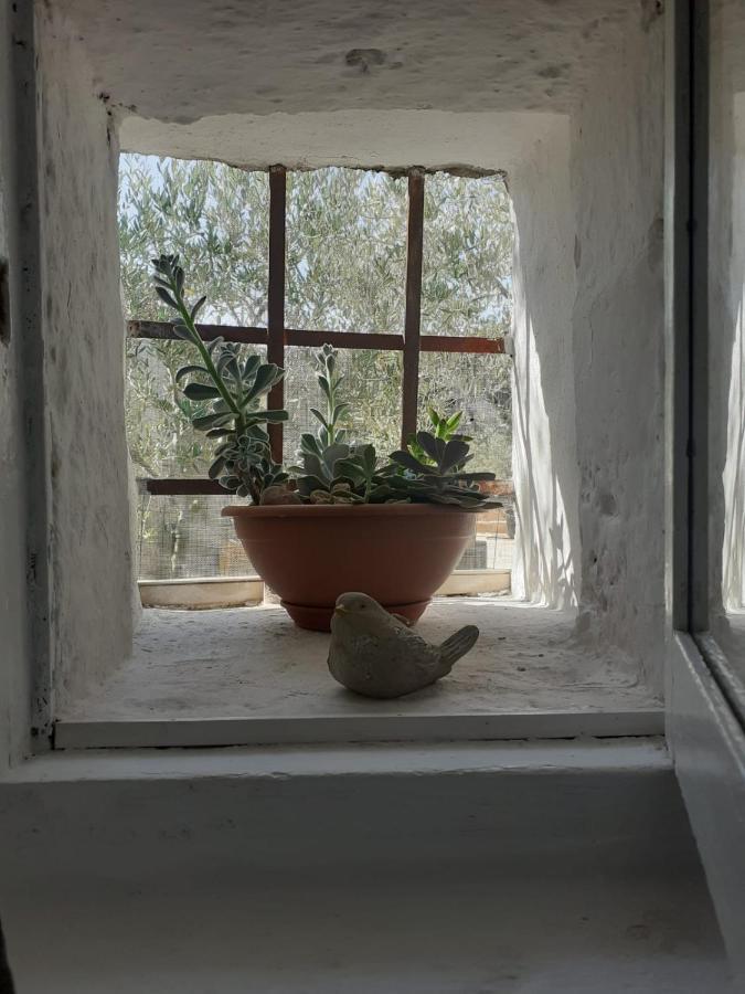 La Mia Dimora Villa Cocolicchio Dış mekan fotoğraf