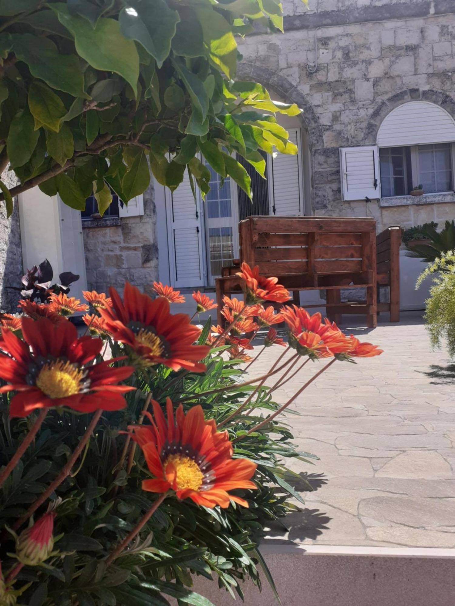 La Mia Dimora Villa Cocolicchio Dış mekan fotoğraf